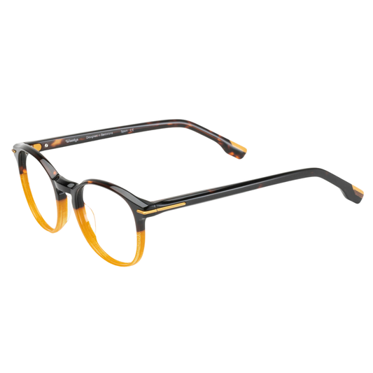 WOODYS Guin 04 prescription glasses side view - pantos frames with signature wooden temple tips