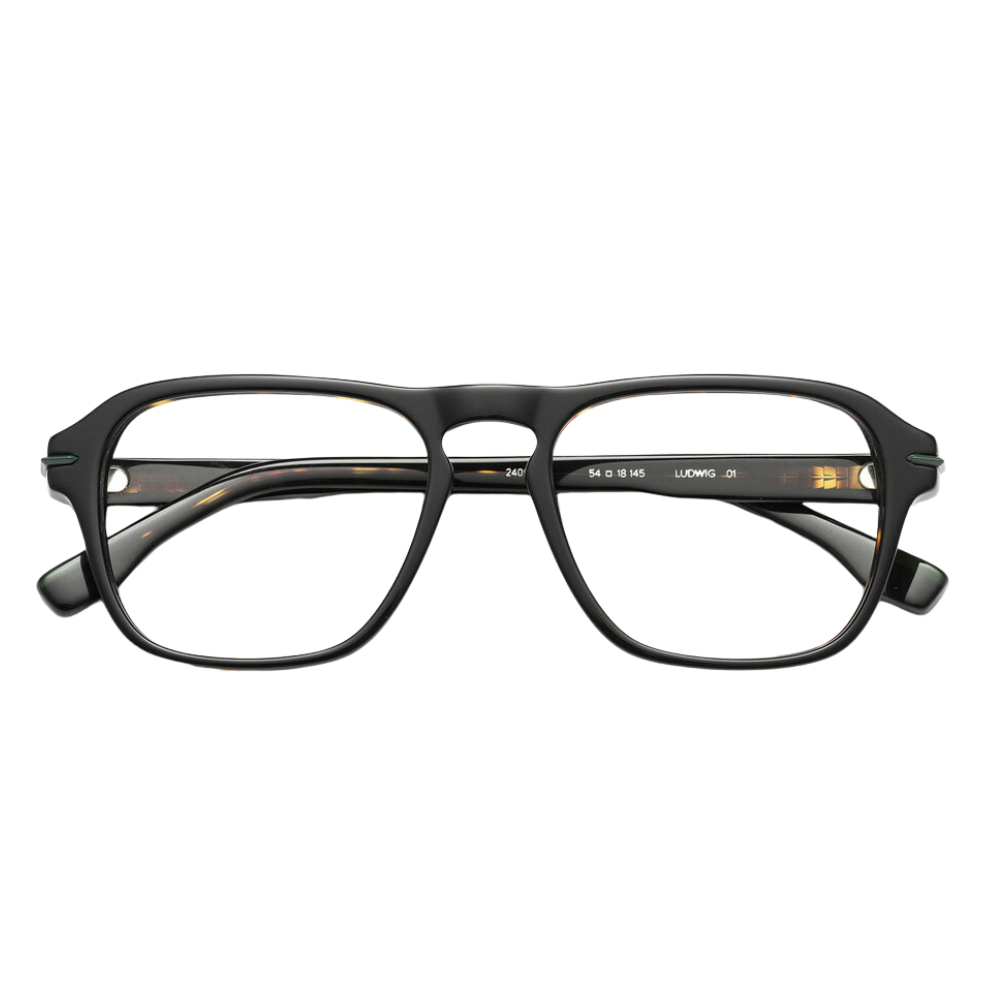 WOODYS Ludwig 01 eyeglasses front view - retro butterfly frames with colored metal rim accents and acetate
