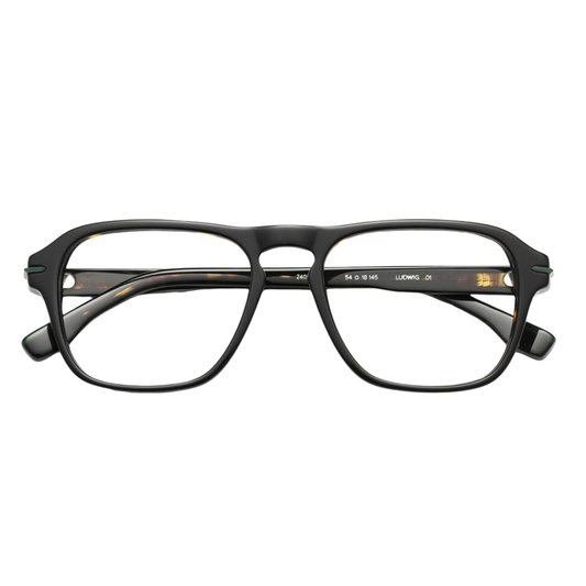 WOODYS Ludwig 01 eyeglasses front view - retro butterfly frames with colored metal rim accents and acetate

