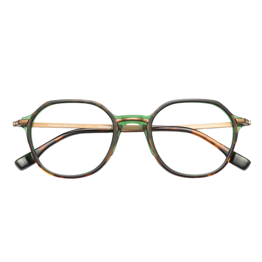 WOODYS Murray 02 eyeglasses front view - reimagined pantos combined frames with Italian acetate and metal structure

