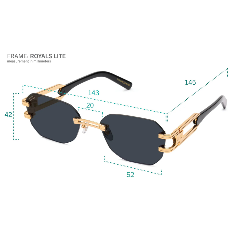 9FIVE Royals Lite close-up – gold-plated five-barrel stainless steel hinge on black acetate temple
