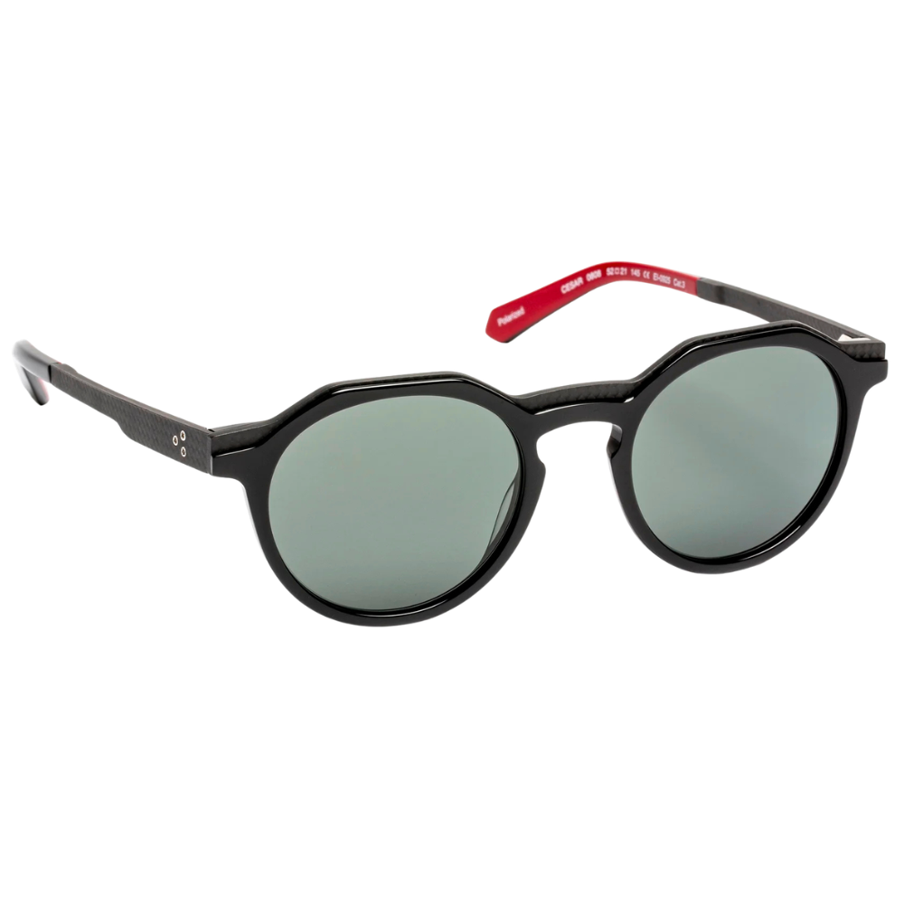 J.F.REY CESAR sunglasses – side profile showing carbon temple and acetate sleeve detail
