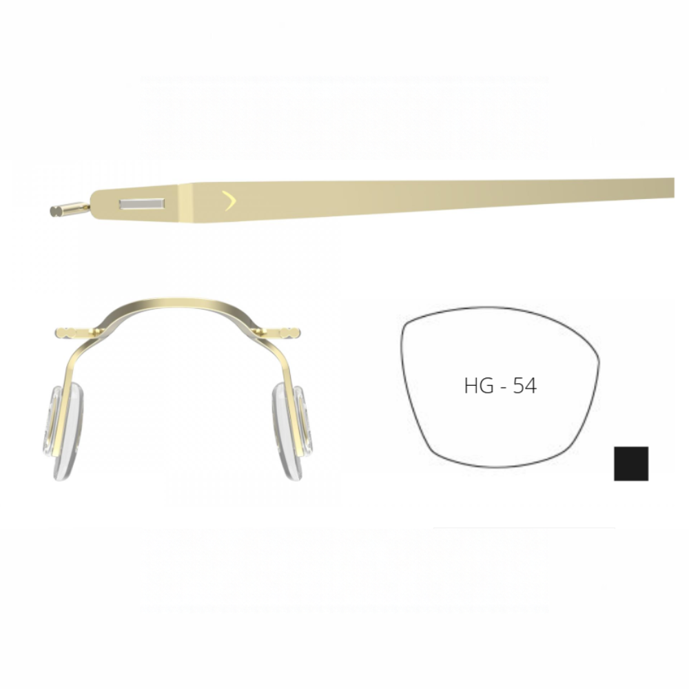 Blackfin Aero Loop component details showing a Shiny Light Gold titanium temple, bridge with nose pads and lens shape labelled HG-54.
